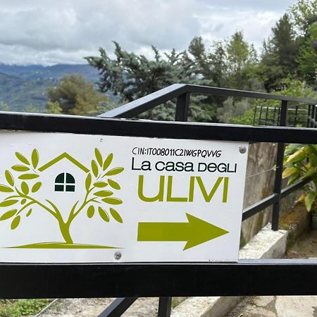 La Casa Degli Ulivi Villa Camporosso  Ngoại thất bức ảnh